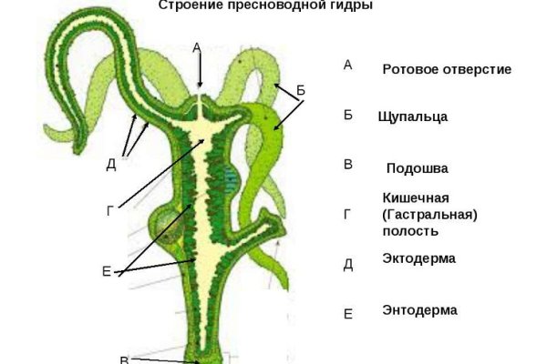 Кракен личный кабинет